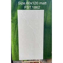 Gạch Tasa 60x120 mờ FST.1862
