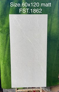 Gạch Tasa 60x120 mờ FST.1862