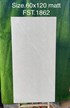 Gạch Tasa 60x120 mờ FST.1862