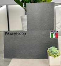 Đá đồng chất lát sân vườn Apodio 30x60 PA12367009