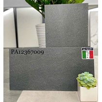 Đá đồng chất lát sân vườn Apodio 30x60 PA12367009