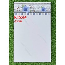 Gạch ốp tường giá rẻ 25x40 KTS56V