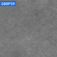 Gạch lát nền Taicera 80x80 mờ G88P39