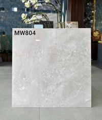 Gạch lát nền Apodio 80x80 bóng C88MW804