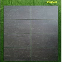 Gạch ốp tường Apodio 30x60 mờ A36SB401