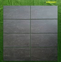 Gạch ốp tường Apodio 30x60 mờ A36SB401