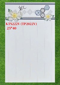 Gạch ốp tường giá rẻ 25x40 KTS222V