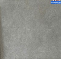 Gạch lát nền Taicera 80x80 mờ G88P38JM