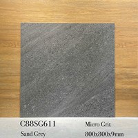 Gạch lát nền Apodio 80x80 mờ C88SG611