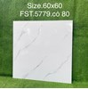 Gạch lát nền Tasa 60x60 bóng FST.5779