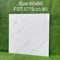 Gạch lát nền Tasa 60x60 bóng FST.5779