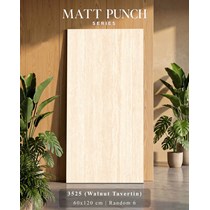 Gạch Ấn Độ 60x120 mờ 3525