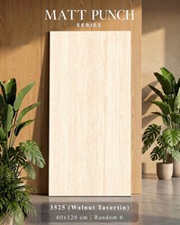 Gạch Ấn Độ 60x120 mờ 3525