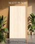 Gạch Ấn Độ 60x120 mờ 3525