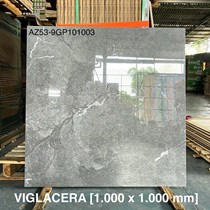 Gạch Viglacera 100x100 AZ53-9GP101003