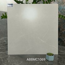 Gạch lát nền Apodio 80x80 mờ A88MC1069