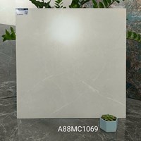 Gạch lát nền Apodio 80x80 mờ A88MC1069
