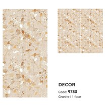 Gạch Tasa 90x180 mờ 9783