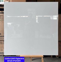 Gạch lát nền Viglacera 120x120 bóng NY25-P121201