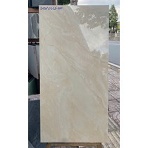 Gạch Viglacera 60x120 bóng SHGP61202