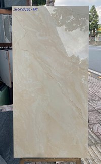 Gạch Viglacera 60x120 bóng SHGP61202