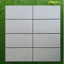 Gạch ốp tường Apodio 30x60 mờ A36SW301