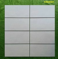 Gạch ốp tường Apodio 30x60 mờ A36SW301