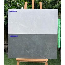 Gạch ốp tường Viglacera 40x80 mờ UM4801-UM4802