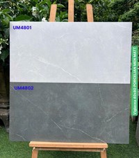 Gạch ốp tường Viglacera 40x80 mờ UM4801-UM4802