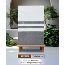 Gạch ốp tường Hà Thanh 30x60 TTV3911