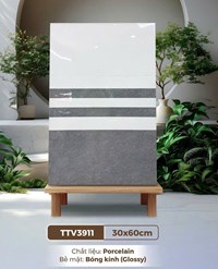 Gạch ốp tường Hà Thanh 30x60 TTV3911
