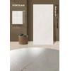 Gạch Ấn Độ 60x120 mờ VC12666