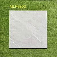 Gạch lát nền giá rẻ 60x60 bóng P6803
