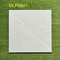 Gạch lát nền giá rẻ 60x60 bóng P6801