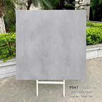 Gạch lát nền Tasa 100x100 mờ 9941