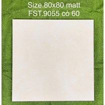 Gạch lát nền Tasa 80x80 mờ FST.9055