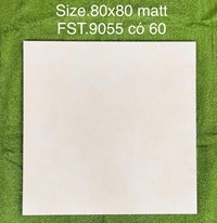 Gạch lát nền Tasa 80x80 mờ FST.9055