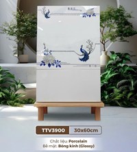 Gạch ốp tường Hà Thanh 30x60 TTV3900