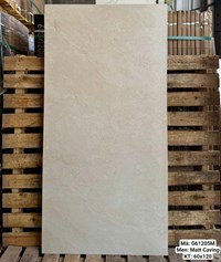 Gạch Việt Ý 60x120 mờ G61205M