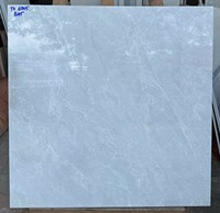 Đá bóng kính giá rẻ Vidona Mikado 60x60 6005