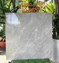 Gạch lát nền Tasa 60x60 6929
