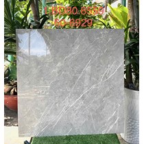 Gạch lát nền Tasa 60x60 6929