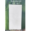 Gạch Tasa 60x120 bóng FST.1817