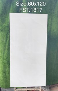 Gạch Tasa 60x120 bóng FST.1817