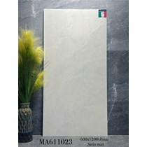 Gạch ốp lát Apodio 60x120 mờ MA611023