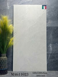 Gạch ốp lát Apodio 60x120 mờ MA611023