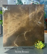 Gạch lát nền Apodio 80x80 AF10888044