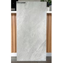 Gạch ốp lát Taicera 60x120 mờ FT612256M