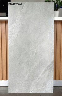 Gạch ốp lát Taicera 60x120 mờ FT612256M