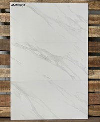 Gạch ốp tường Apodio 30x60 mờ AMM3601